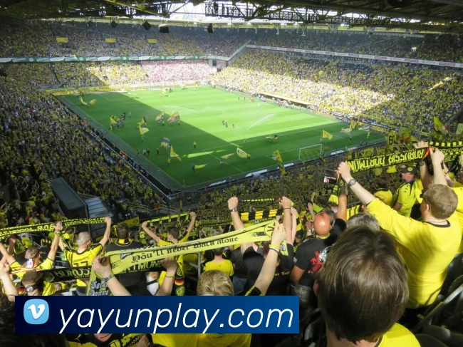 多媒体互动体验